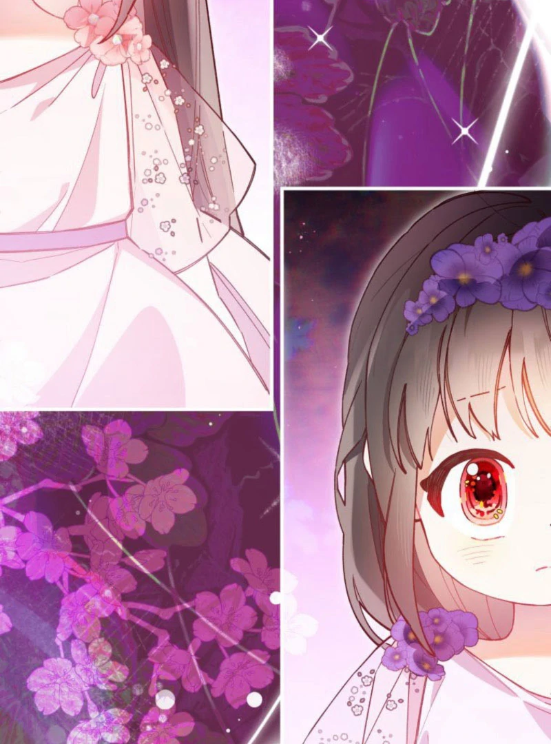 I Will Not be Overshadowed by my Twin Sister in This Life Chapter 22 page 62