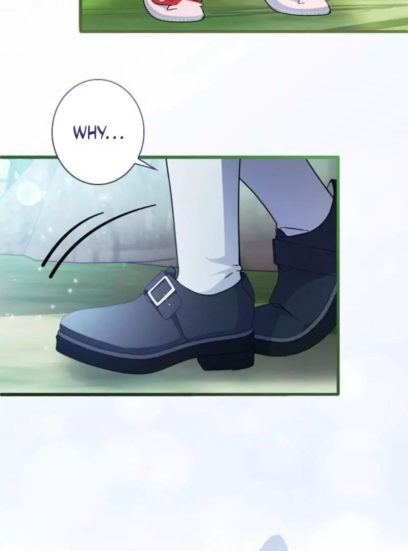 The Count's Beloved Contract Young Lady Chapter 22 page 11
