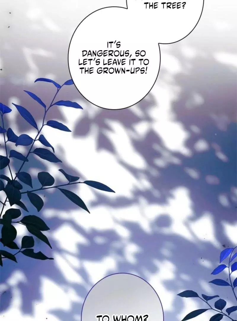 The Count's Beloved Contract Young Lady Chapter 22 page 62