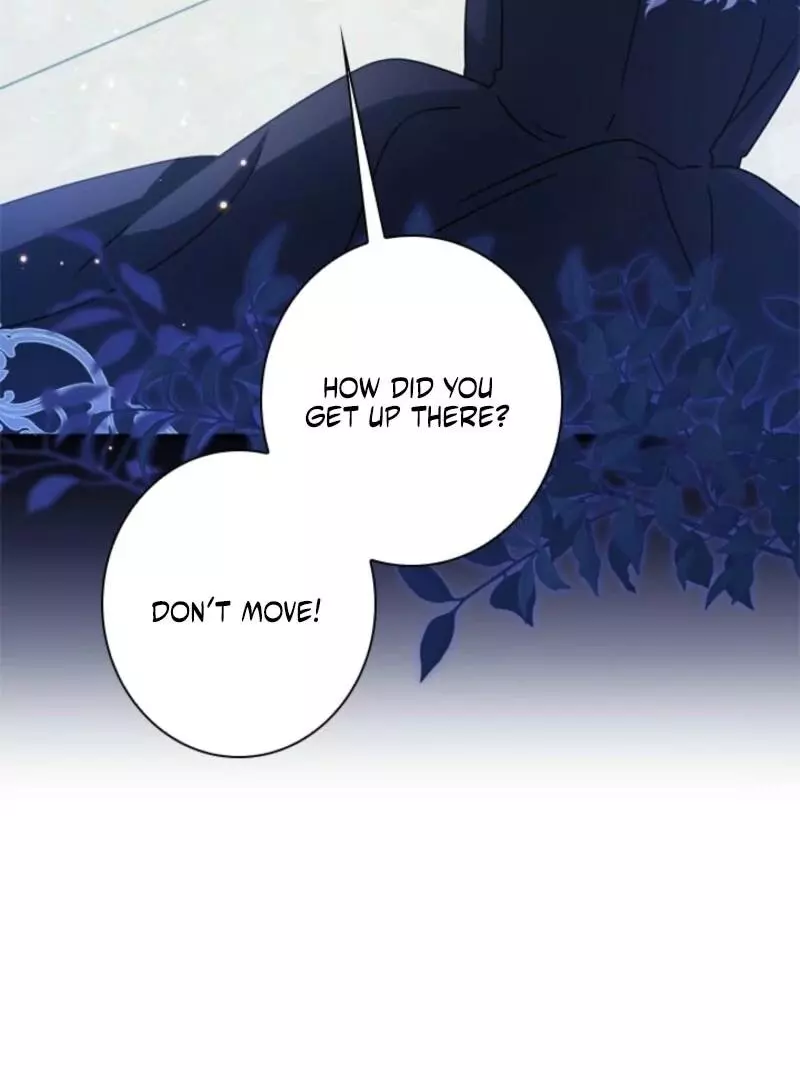 The Count's Beloved Contract Young Lady Chapter 22 page 60
