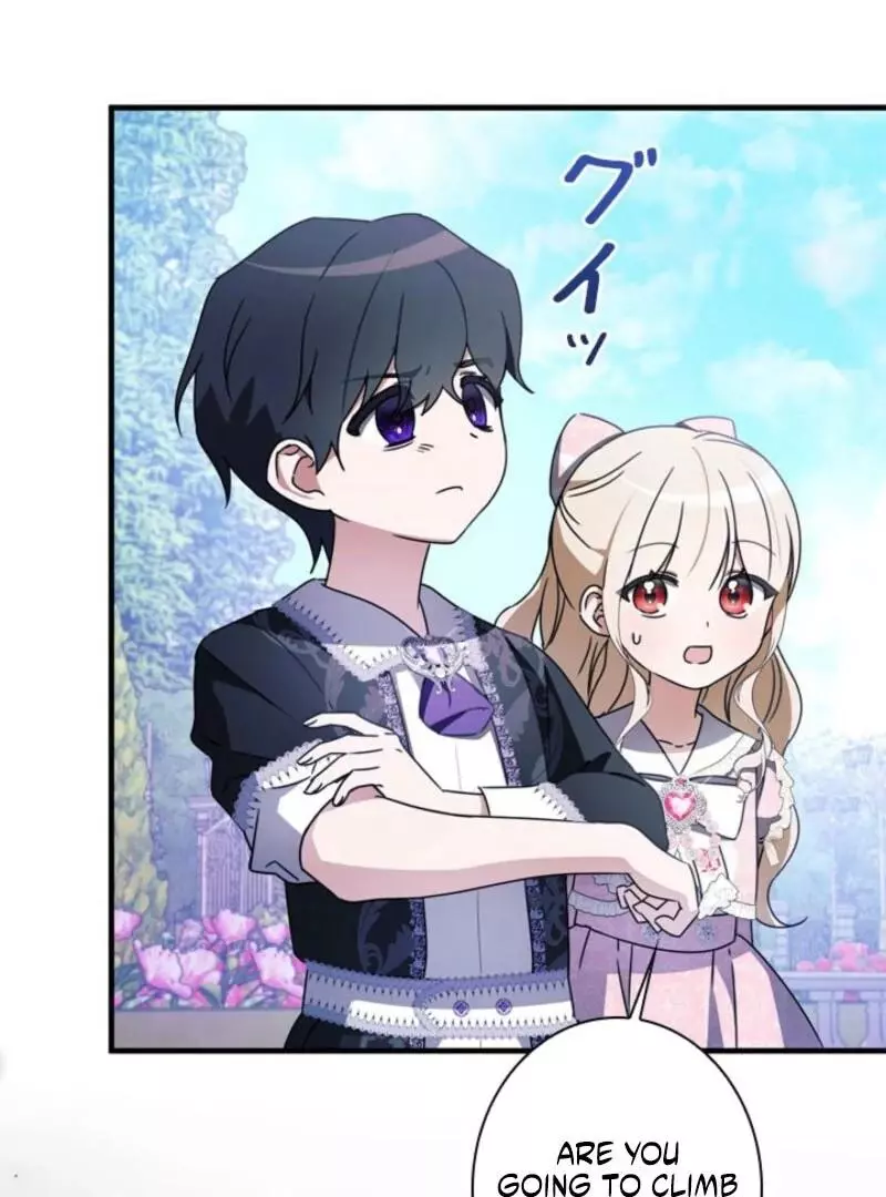 The Count's Beloved Contract Young Lady Chapter 22 page 61