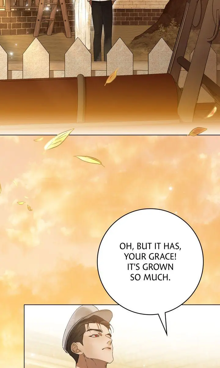 A Wicked Husband Chapter 24 page 13