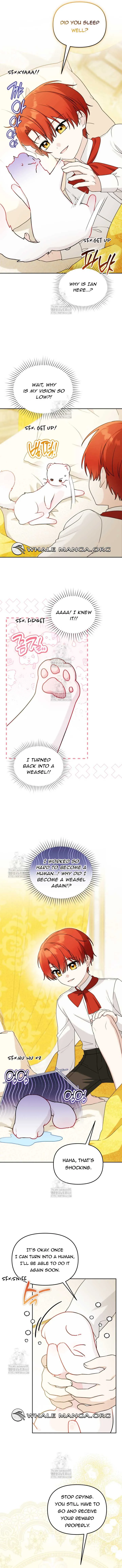 The Villain’s Daughter in law is Inherently Powerful Chapter 23 page 12