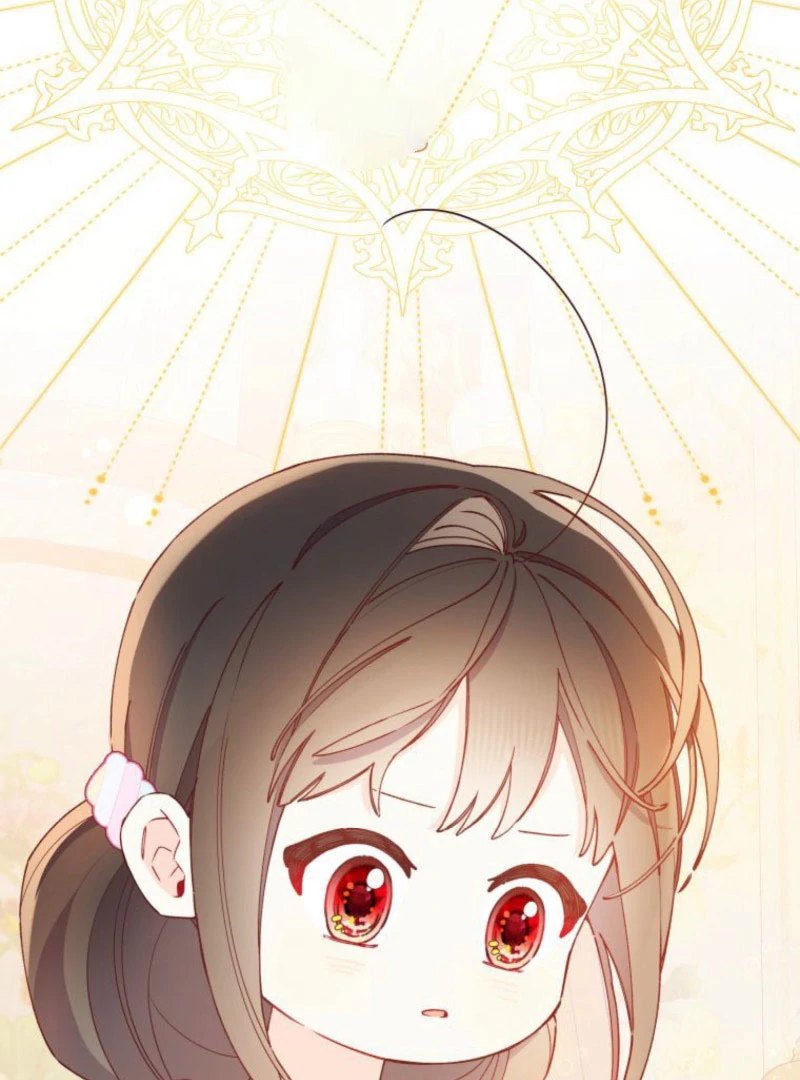I Will Not be Overshadowed by my Twin Sister in This Life Chapter 25 page 9