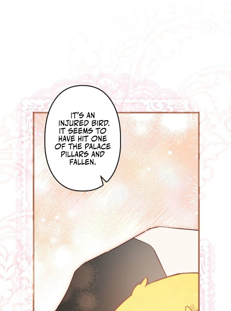I Will Not be Overshadowed by my Twin Sister in This Life Chapter 25 page 122