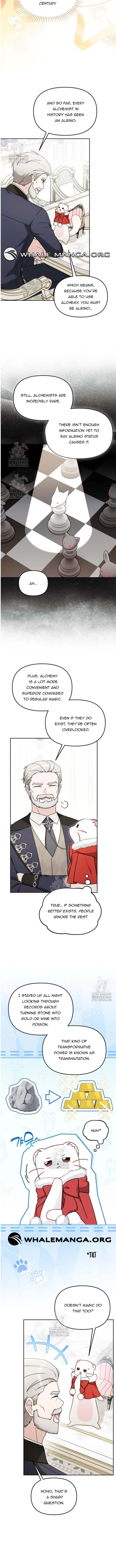 The Villain’s Daughter in law is Inherently Powerful Chapter 25 page 5
