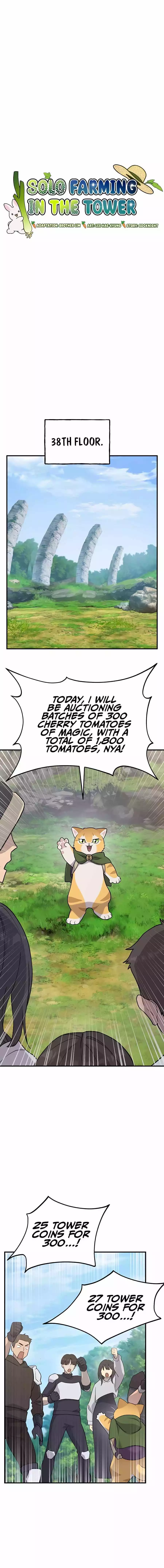 Solo Farming In The Tower Chapter 26 page 7