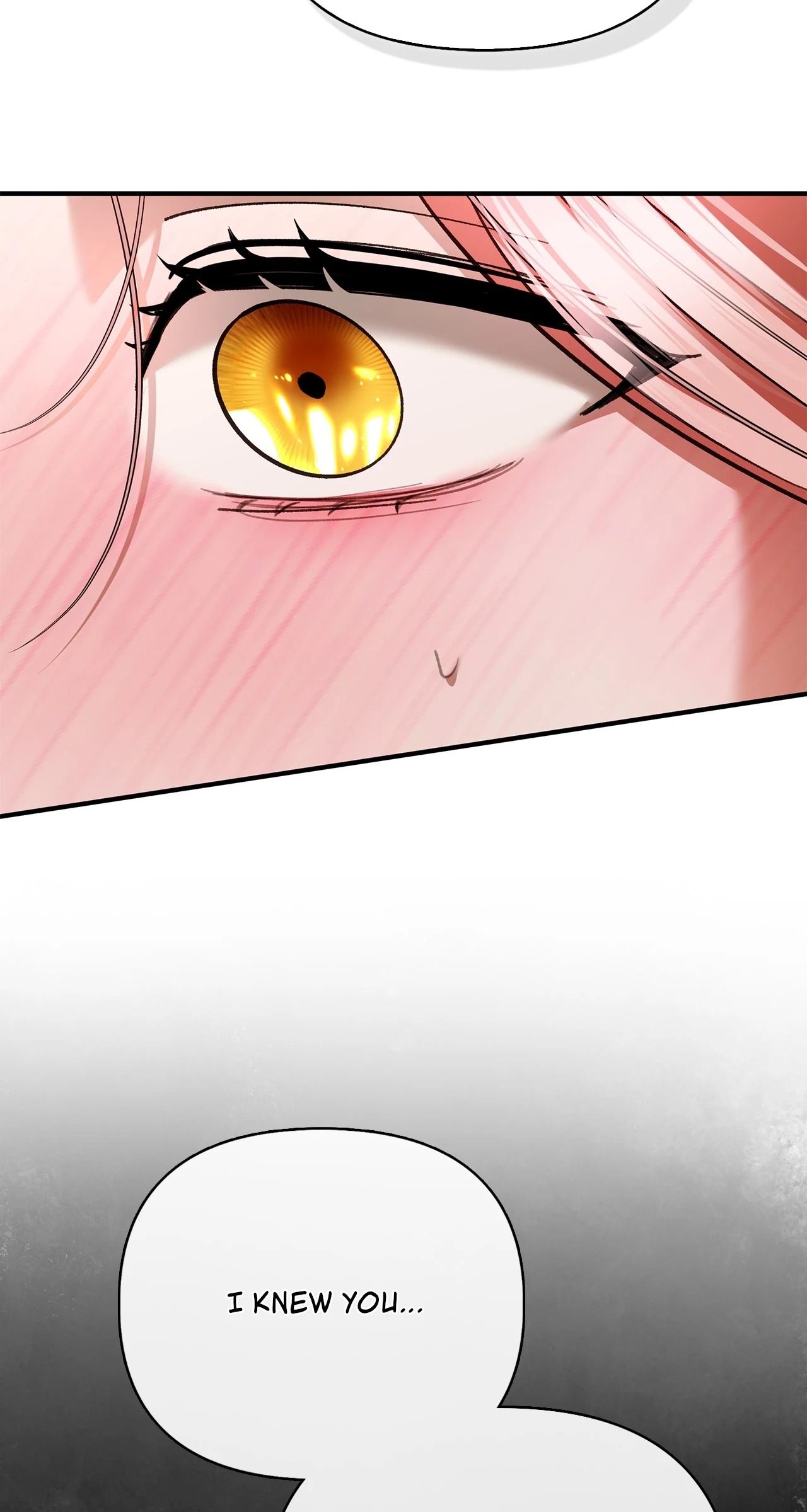 I Drank It Instead of My Husband Chapter 25 page 47