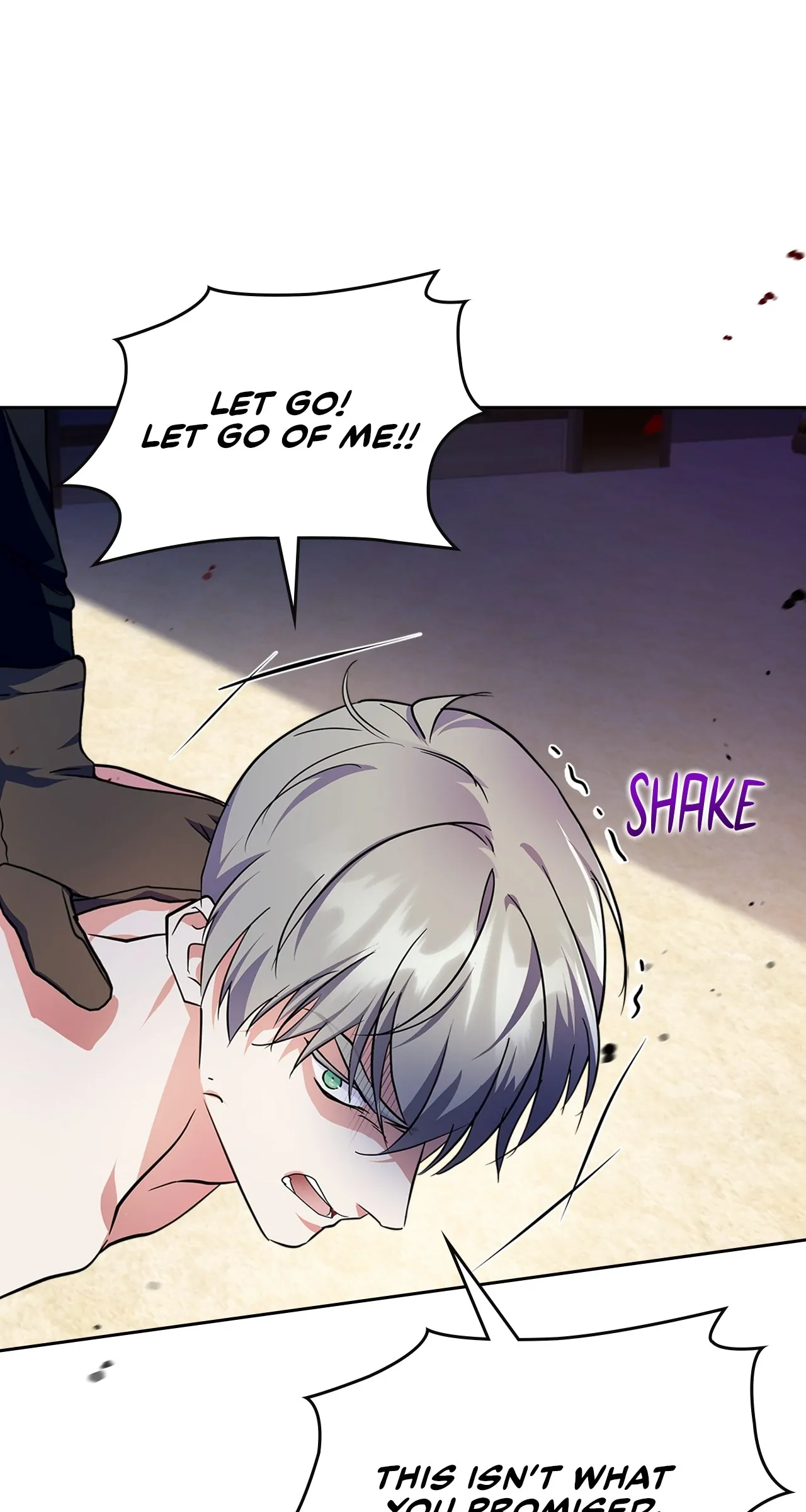 I Became the Tyrant's Dishonest Adviser Chapter 27 page 11