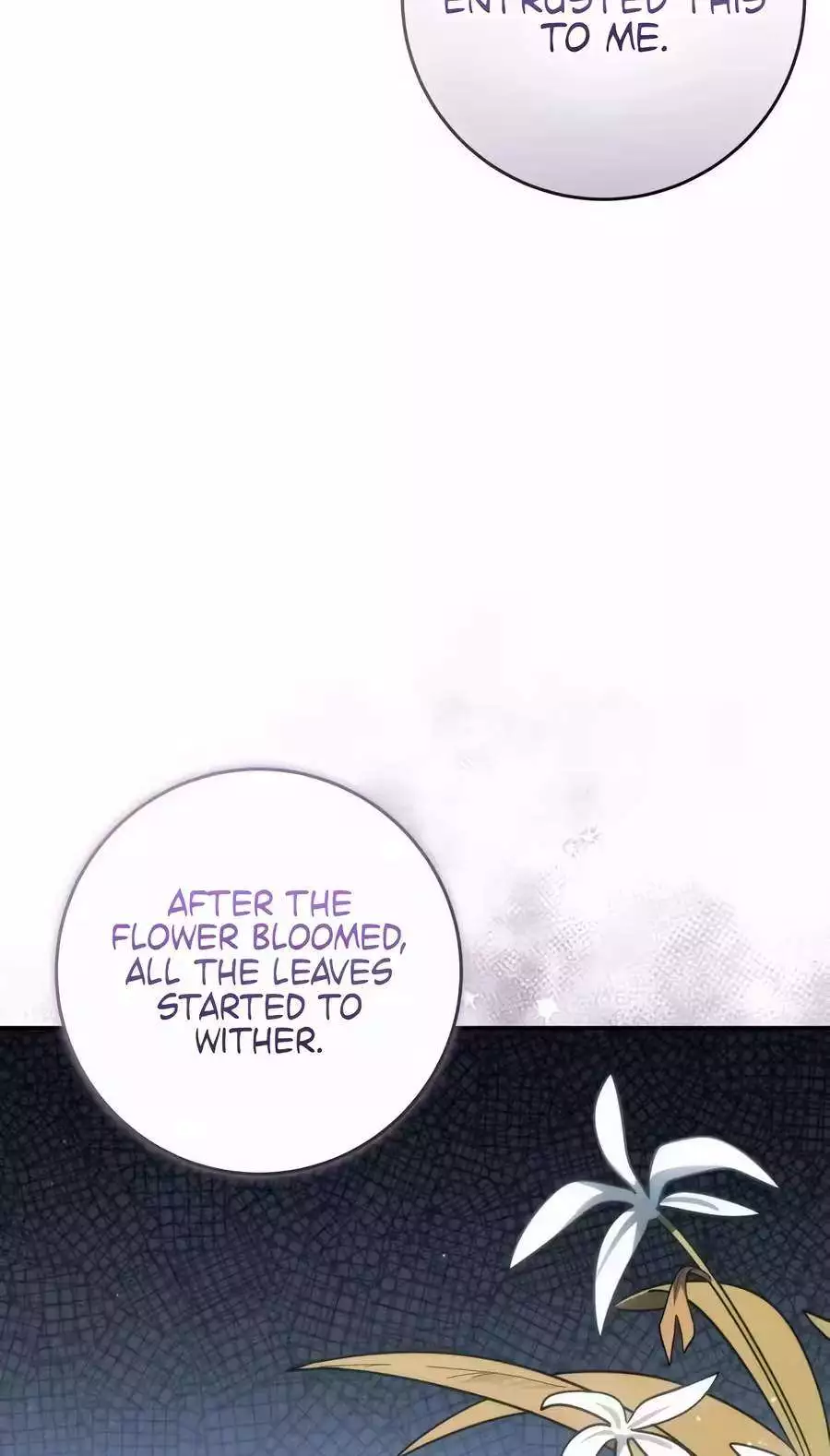 Healing With Deulbi Chapter 29 page 61