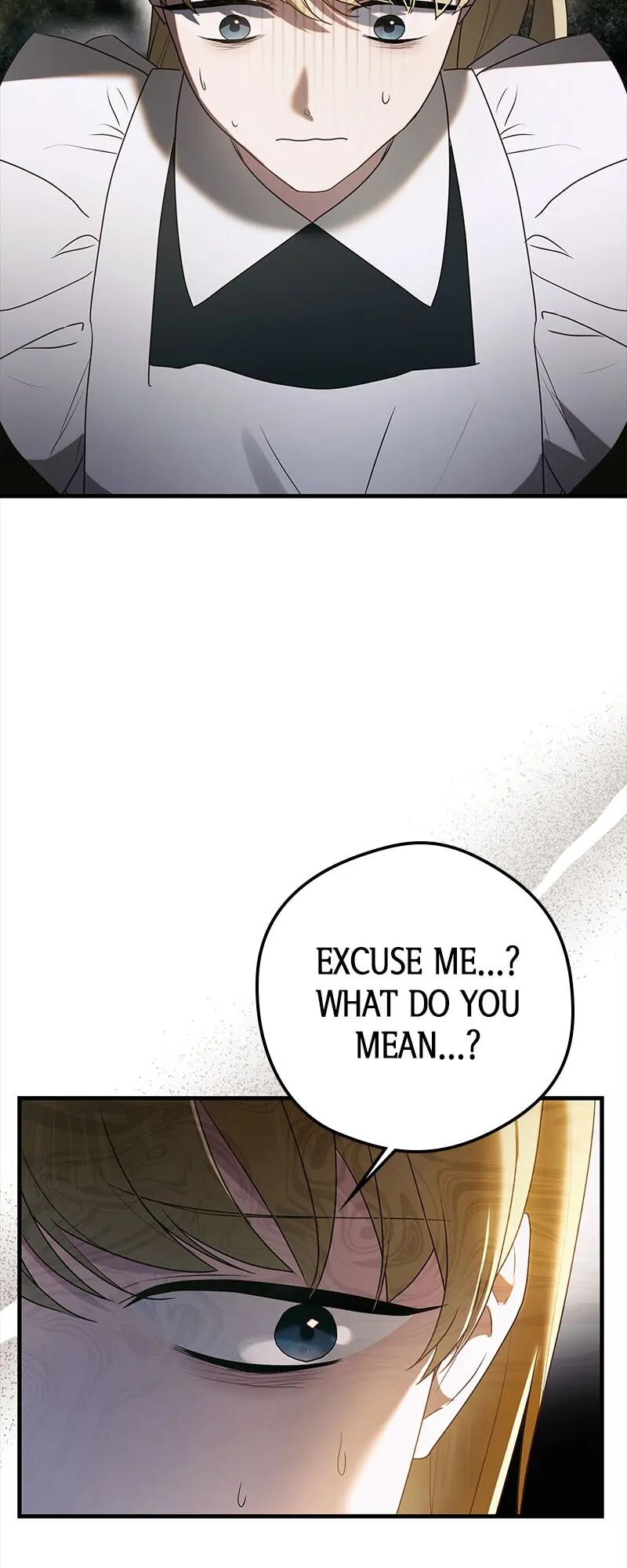 A Golden Fate That Transcends Time Chapter 30 page 17