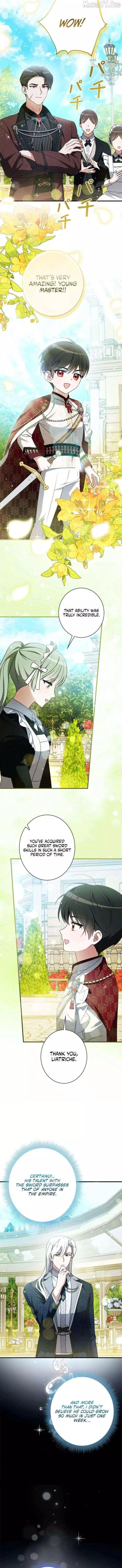 The Count's Beloved Contract Young Lady Chapter 31 page 5