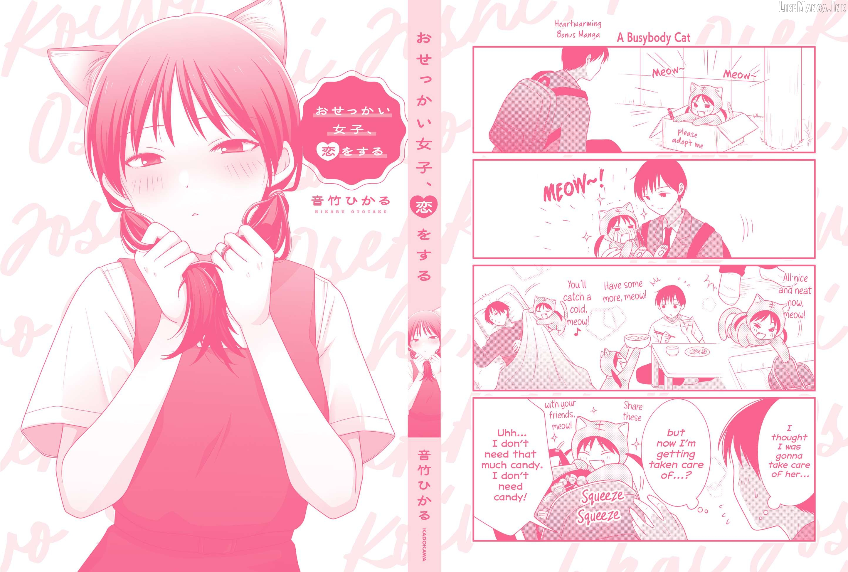 Osekkai Joshi, Koi o Suru Chapter 29.5 page 12