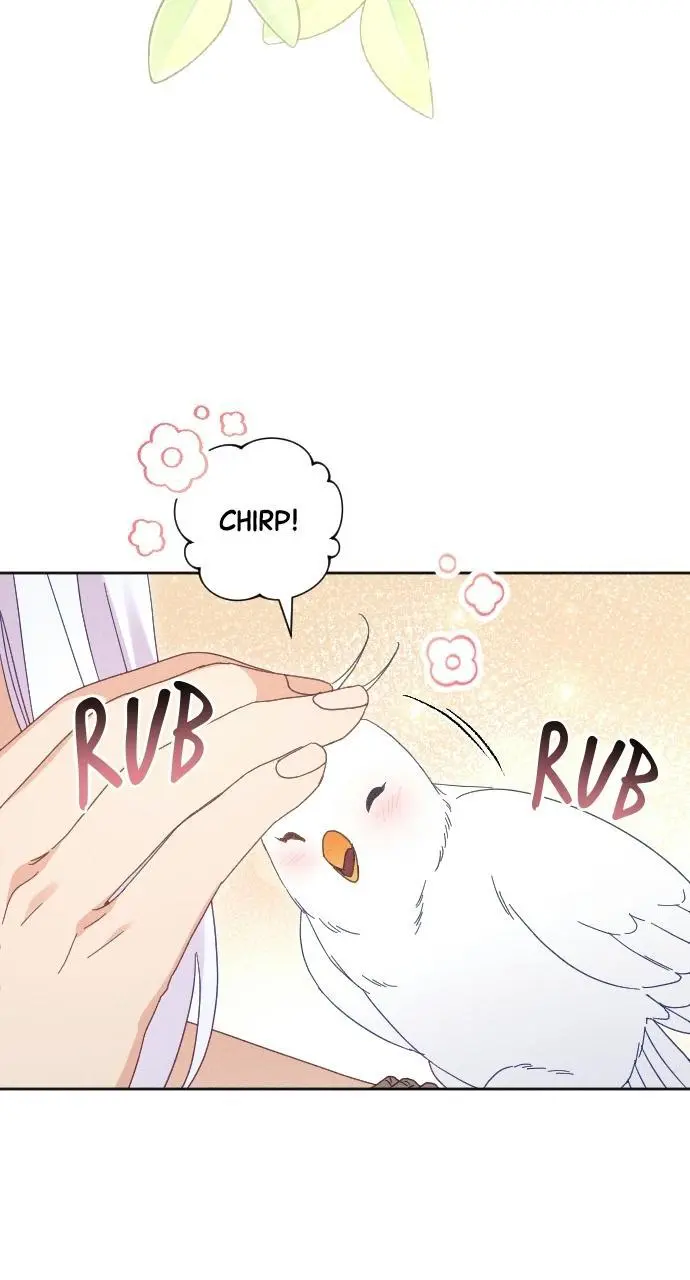 I dare to plead Chapter 37 page 8