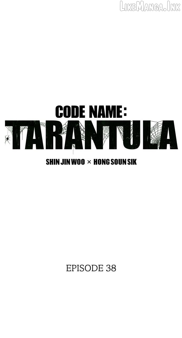 Code Name: TARANTULA Chapter 38 page 19
