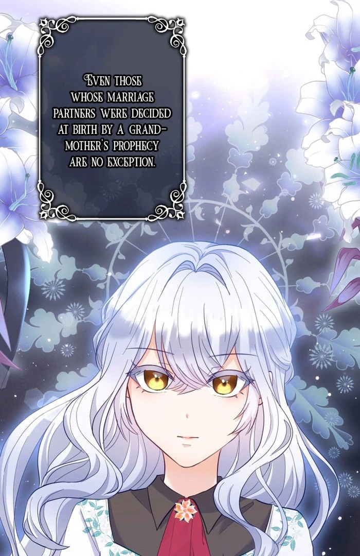 Princess Sveta’s Political Marriage Chapter 41 page 12