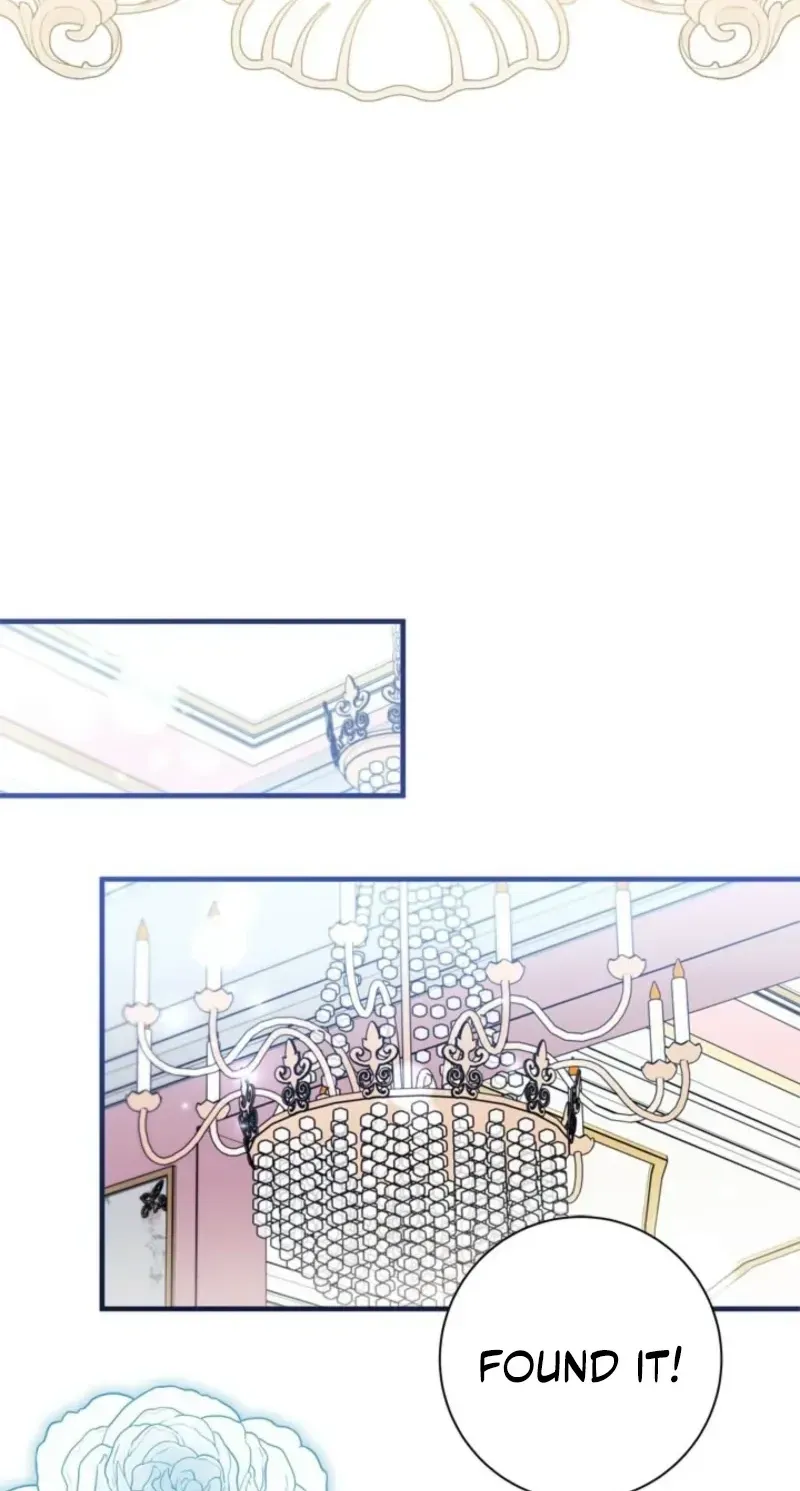 The Count's Beloved Contract Young Lady Chapter 43 page 42