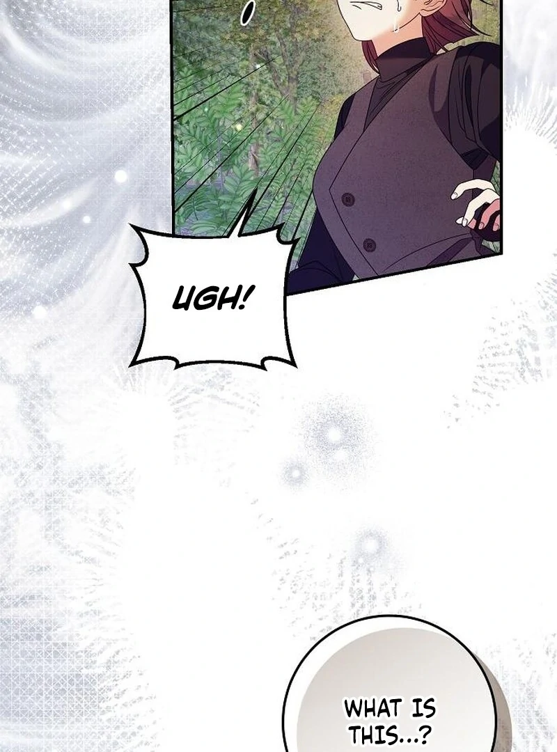 I Found A Family That Wasn’t In My Adoption Plan Chapter 48 page 75