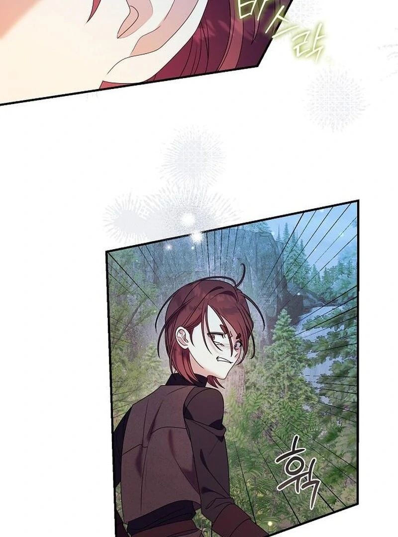 I Found A Family That Wasn’t In My Adoption Plan Chapter 48 page 81