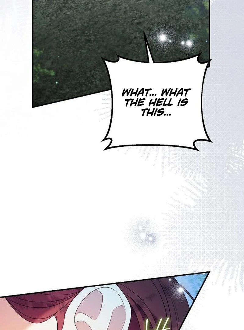 I Found A Family That Wasn’t In My Adoption Plan Chapter 48 page 80