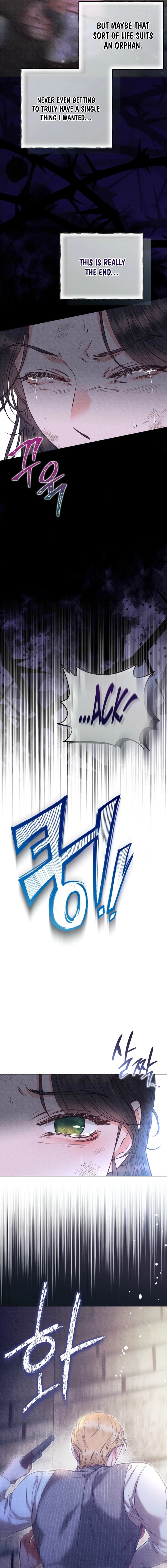 Dear My Rude Darling With Multiple Personalities Chapter 49 page 17