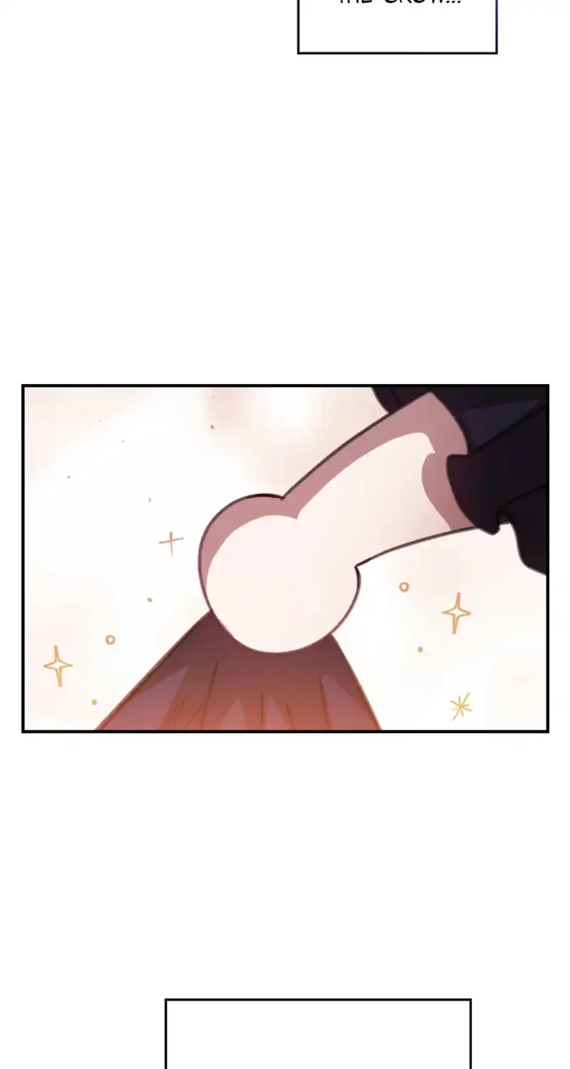 The Broken Ring: This Marriage Will Fail Anyway Chapter 65.1 page 8