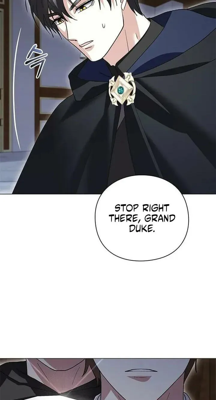 I will disappear for you, Your Grace the Grand Duke Chapter 65 page 25