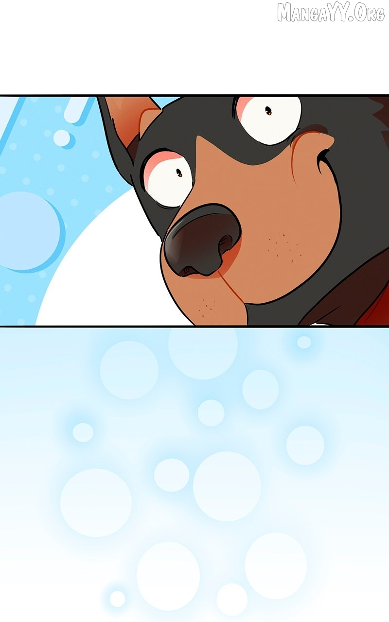 Love 4 a Walk Chapter 78 page 51