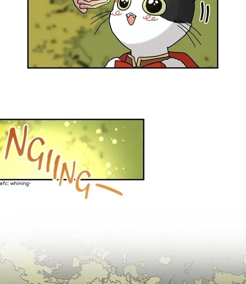 I Became The Chef Of The Dragon King Chapter 79 page 34