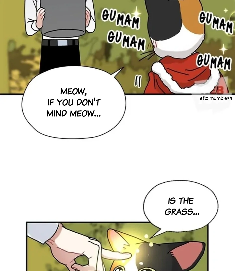 I Became The Chef Of The Dragon King Chapter 79 page 33