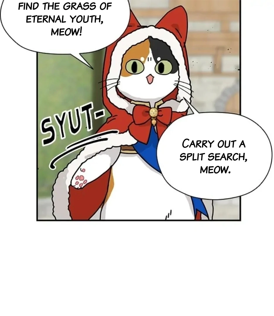 I Became The Chef Of The Dragon King Chapter 79 page 72