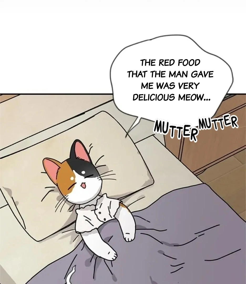 I Became The Chef Of The Dragon King Chapter 80 page 47