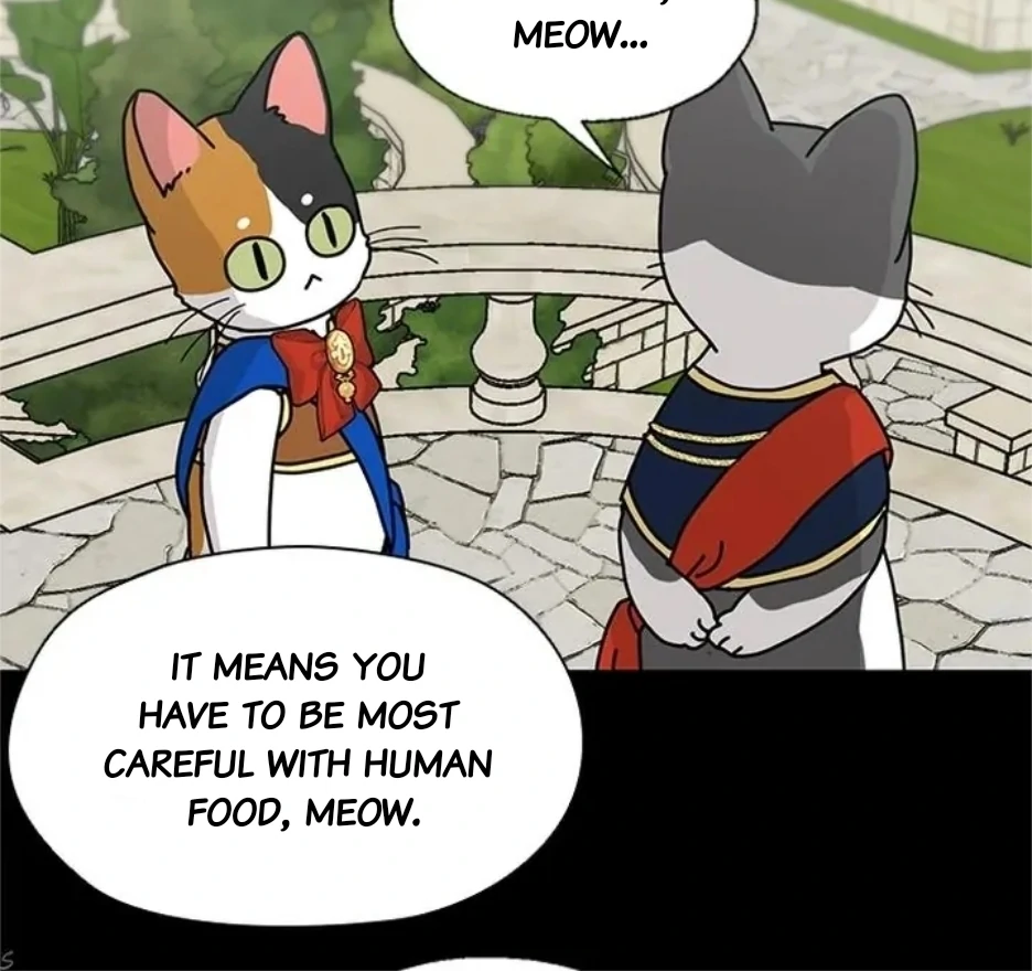 I Became The Chef Of The Dragon King Chapter 80 page 41