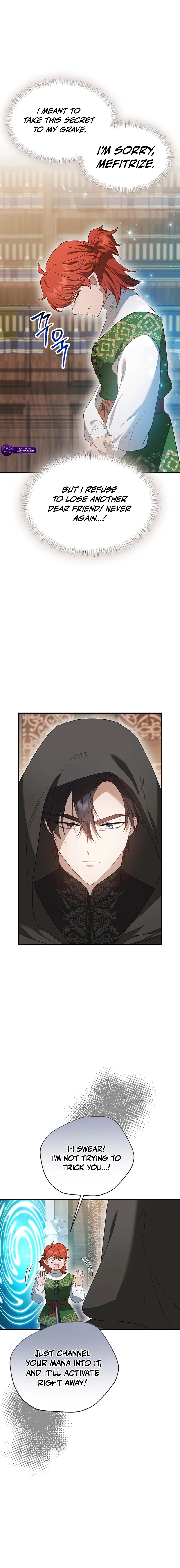 A Golden Fate That Transcends Time Chapter 95 page 17