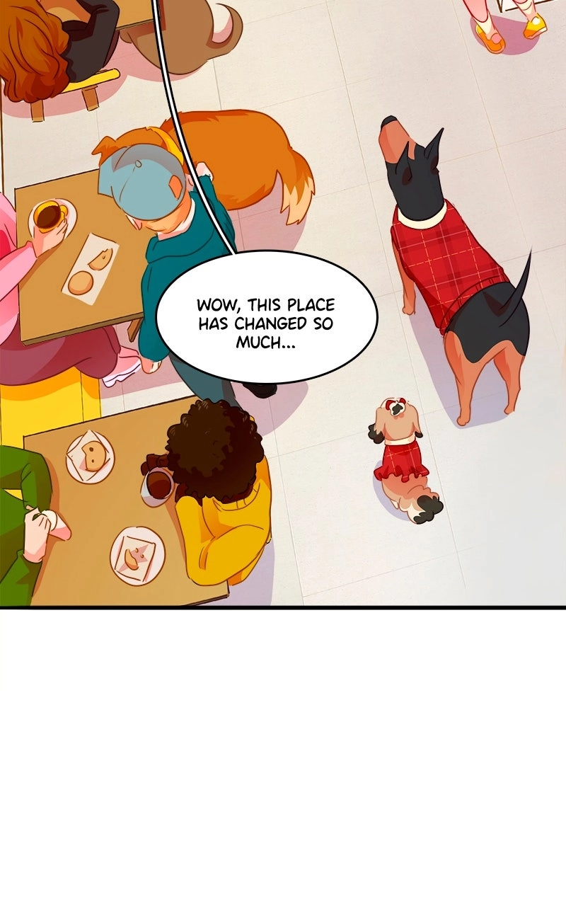 Love 4 a Walk Chapter 96 page 48