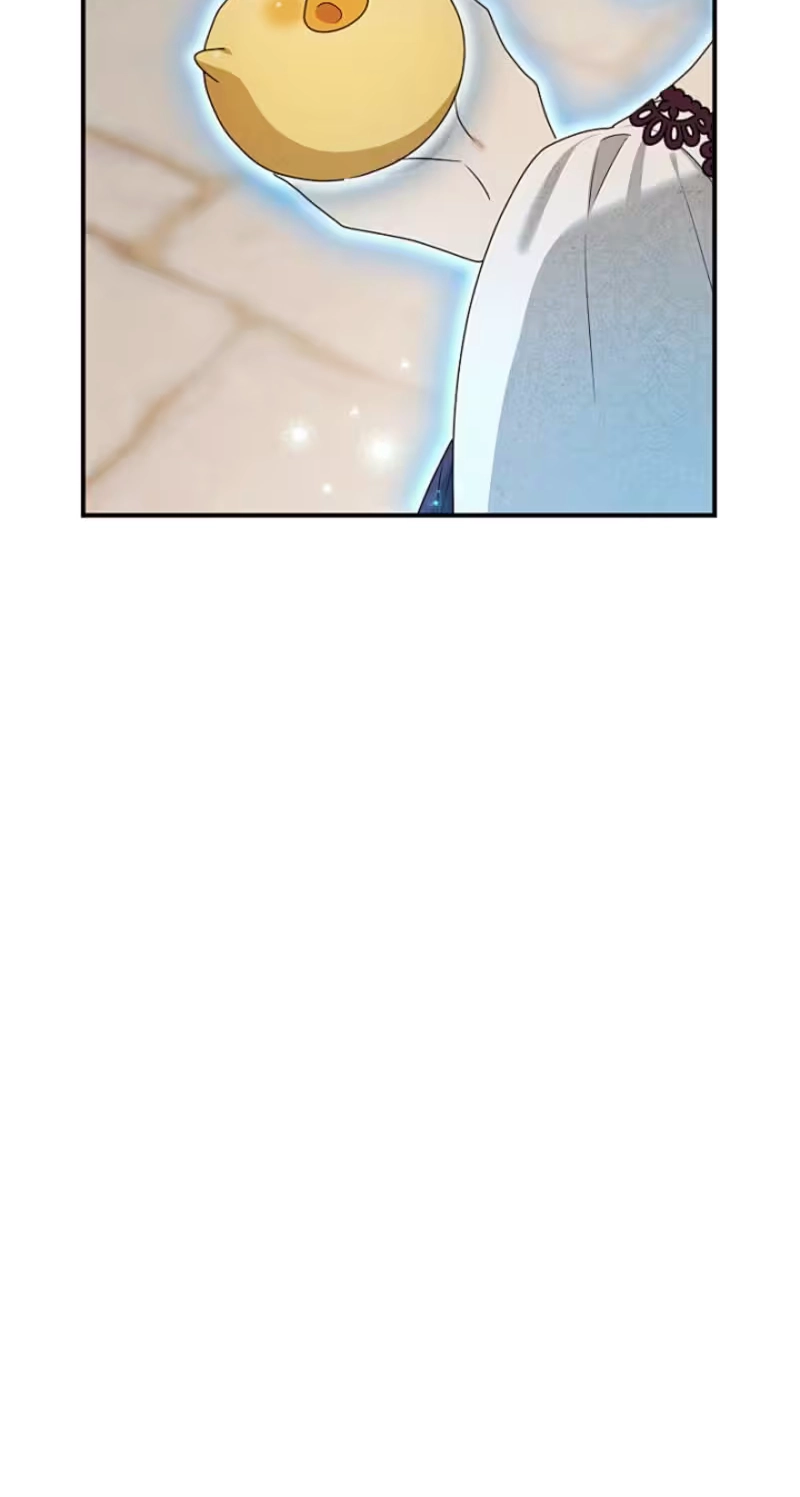 A Golden Fate That Transcends Time Chapter 111 page 42