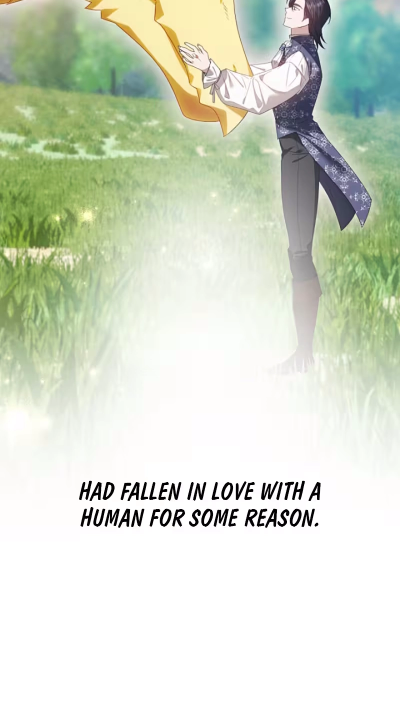 A Golden Fate That Transcends Time Chapter 111 page 46