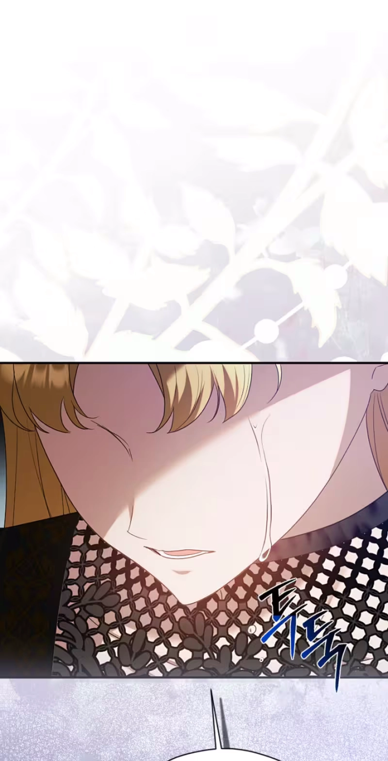 A Golden Fate That Transcends Time Chapter 111 page 91