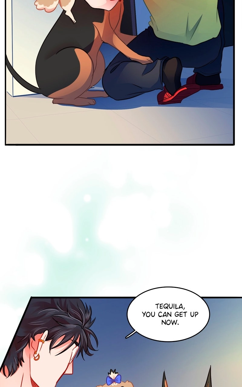 Love 4 a Walk Chapter 117 page 67