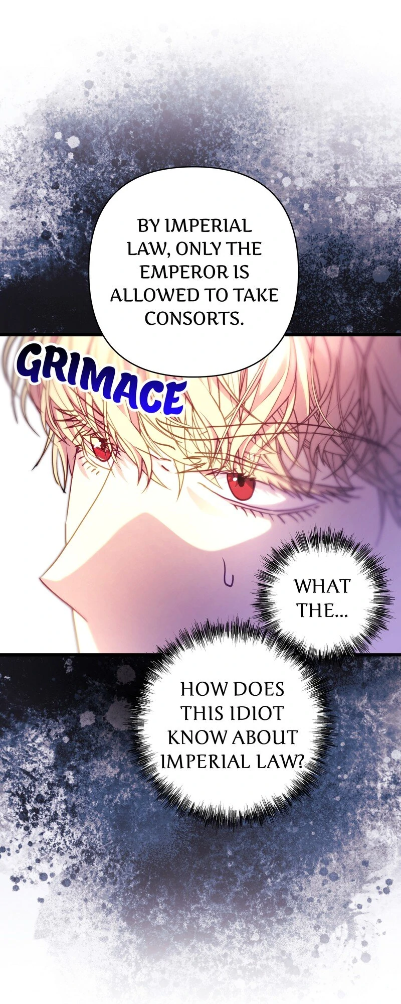 Another Typical Fantasy Romance Chapter 117 page 13