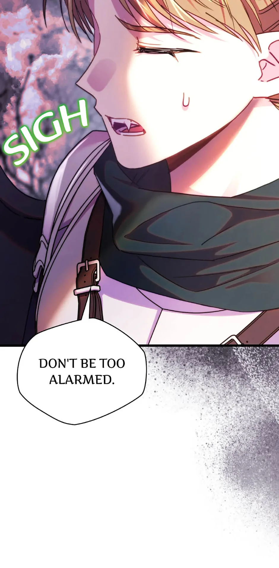 Another Typical Fantasy Romance Chapter 135 page 97