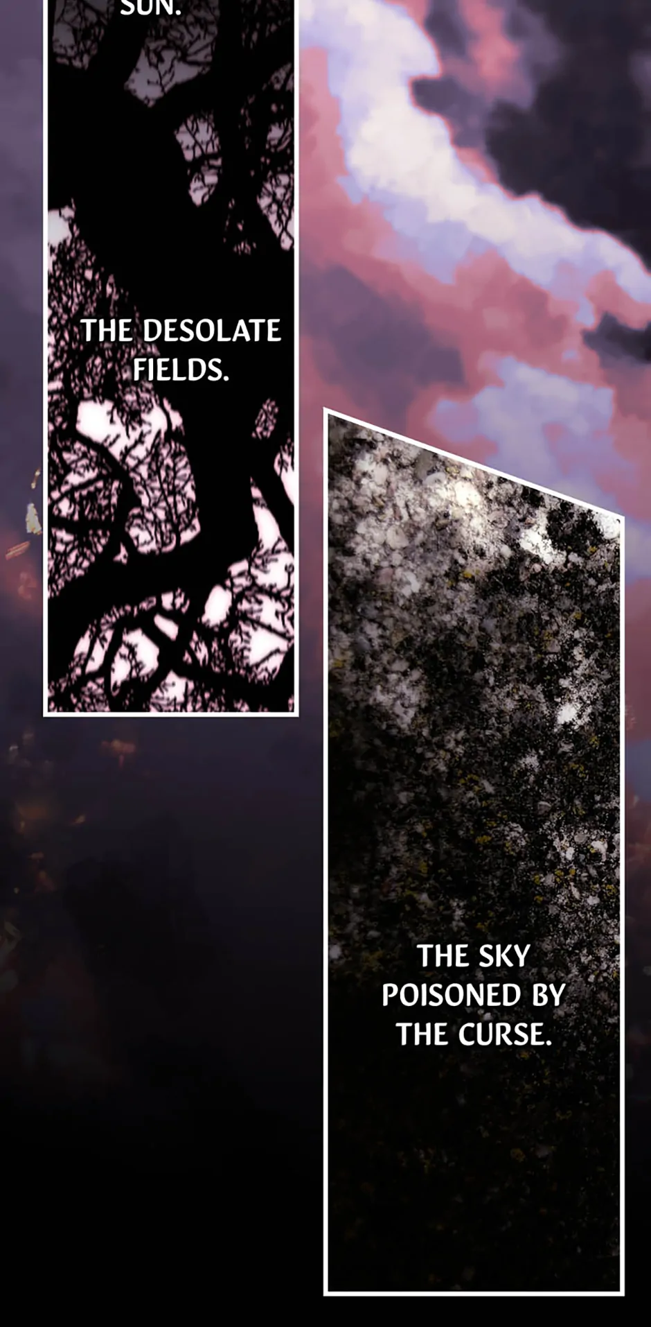 Another Typical Fantasy Romance Chapter 137 page 84