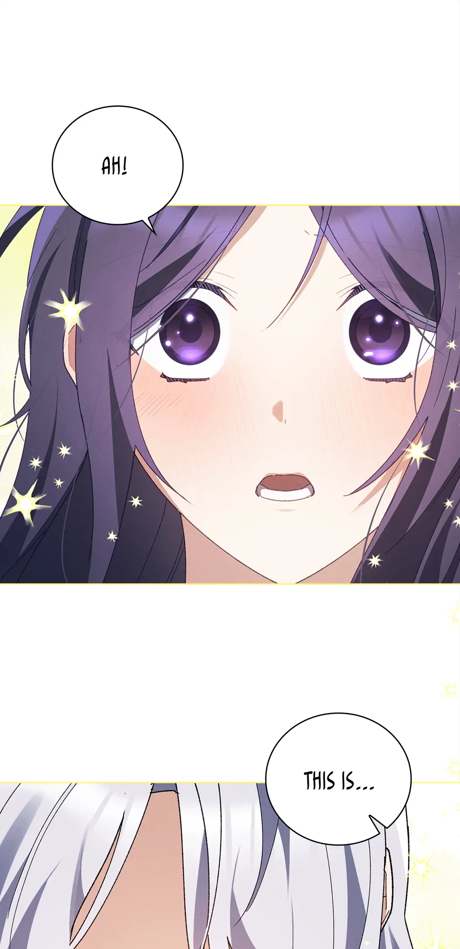 They Say I Was Born a Kings Daughter Chapter 306 page 17