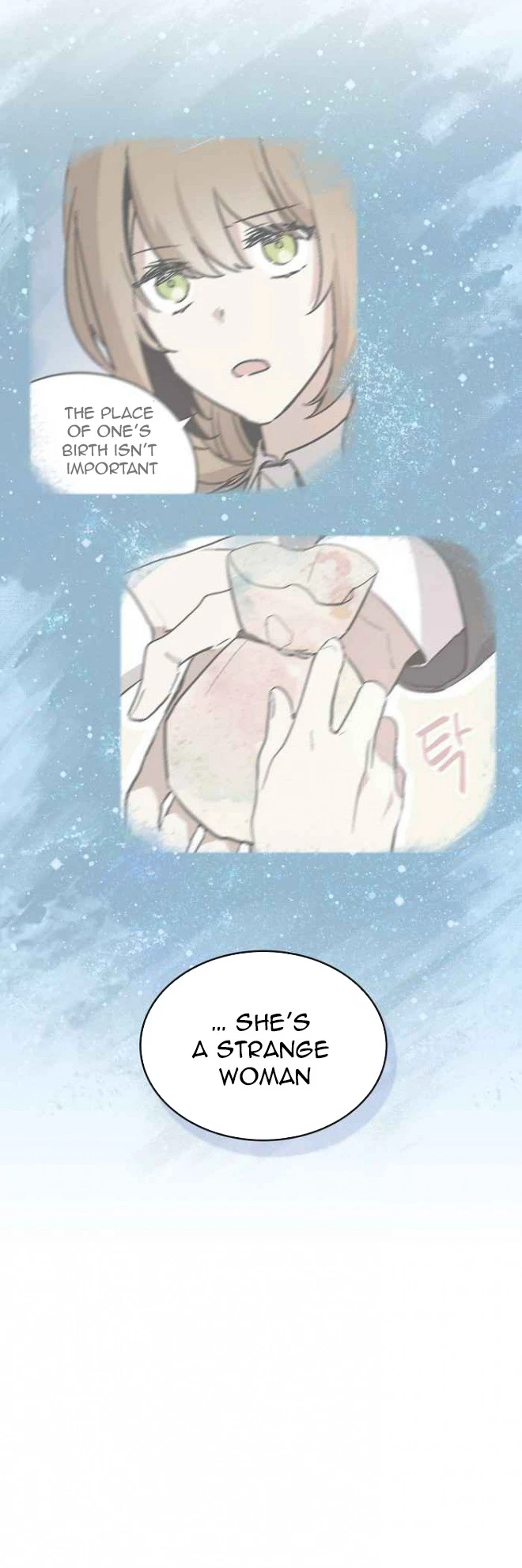 The Reason Why Raeliana Ended up at the Duke's Mansion Chapter 11 page 26