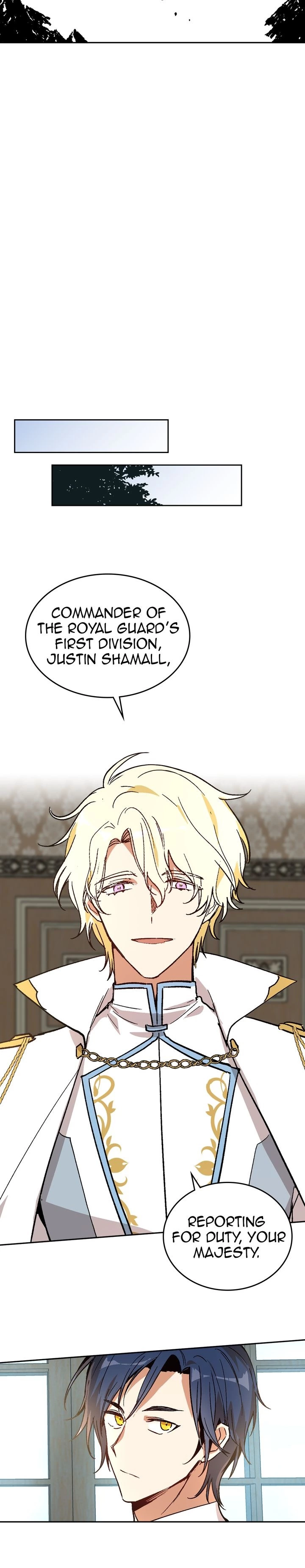 The Reason Why Raeliana Ended up at the Duke's Mansion Chapter 62 page 8