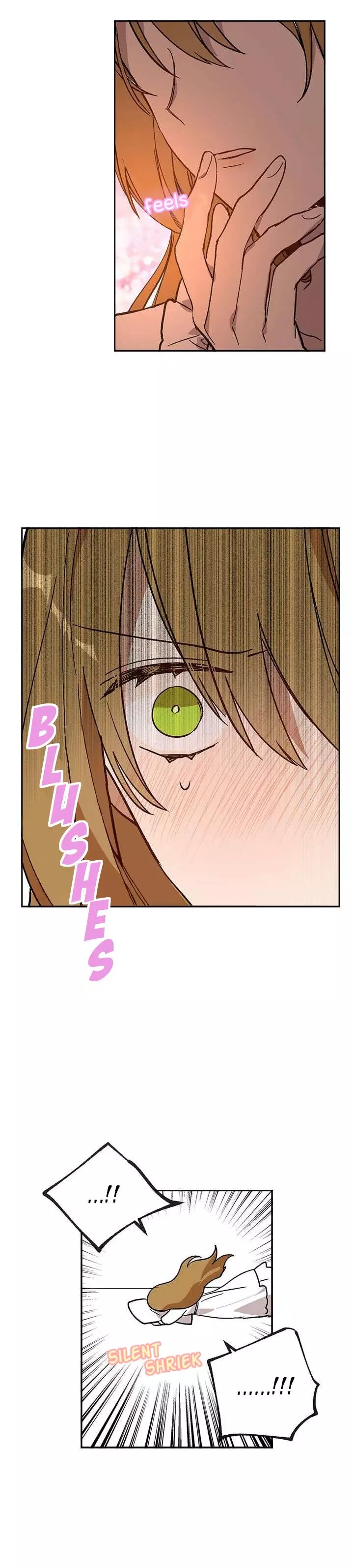The Reason Why Raeliana Ended up at the Duke's Mansion Chapter 64 page 9