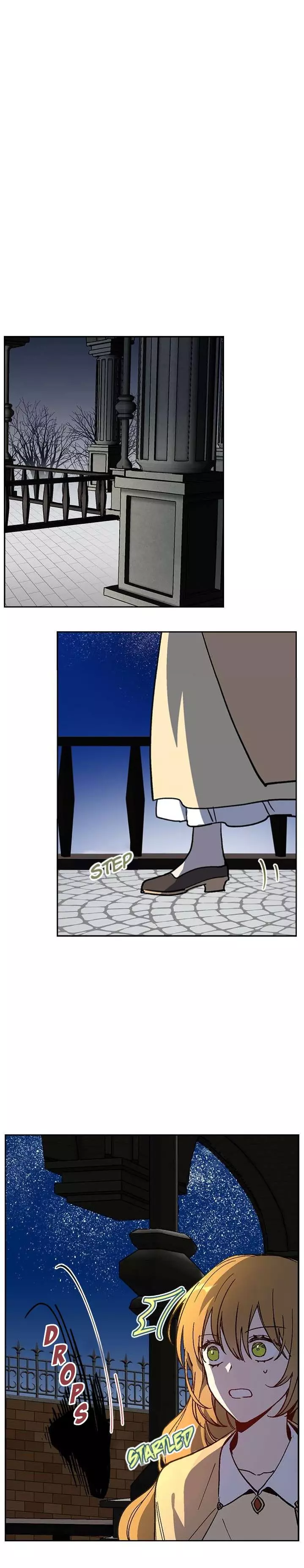 The Reason Why Raeliana Ended up at the Duke's Mansion Chapter 64 page 16
