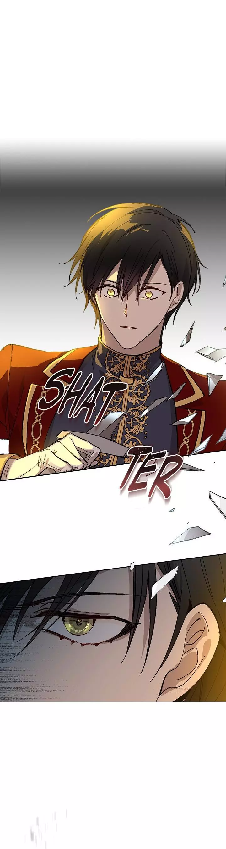 The Reason Why Raeliana Ended up at the Duke's Mansion Chapter 107 page 12