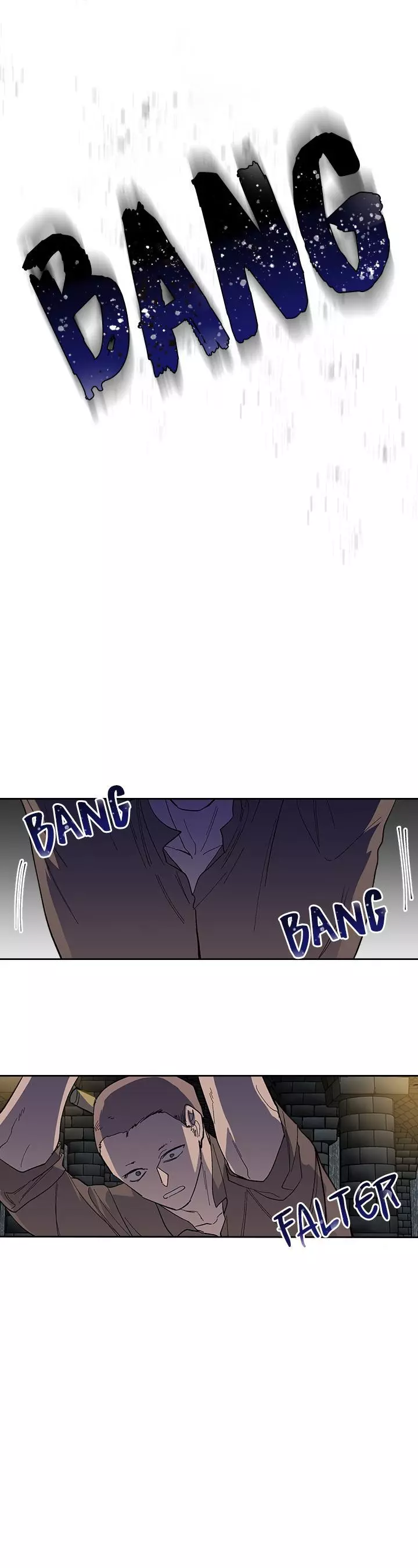 The Reason Why Raeliana Ended up at the Duke's Mansion Chapter 107 page 13