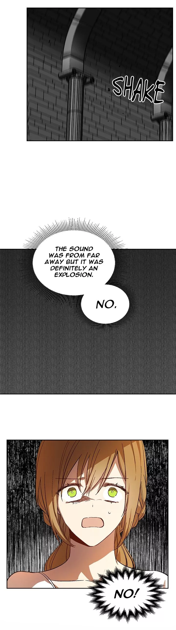 The Reason Why Raeliana Ended up at the Duke's Mansion Chapter 106 page 15